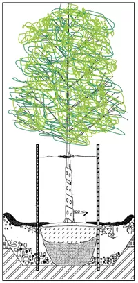 illustration of a tree