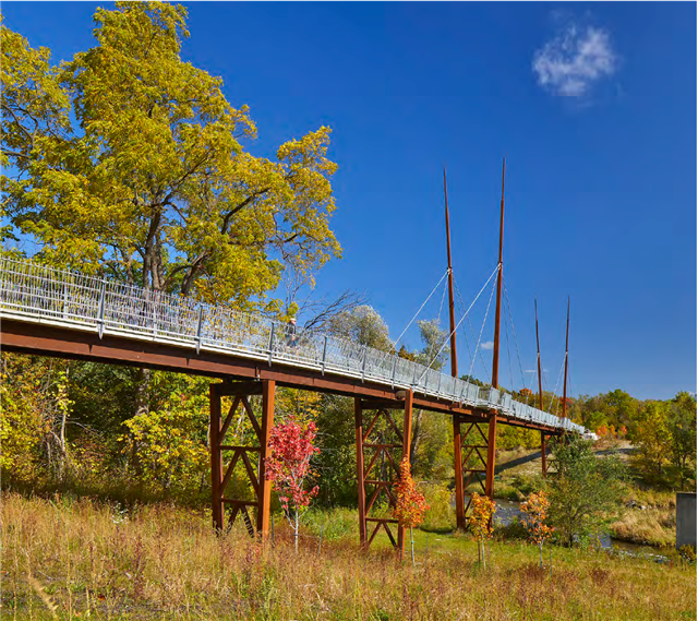 Milne Dam and Milne Creek Cable-Stayed Bridges