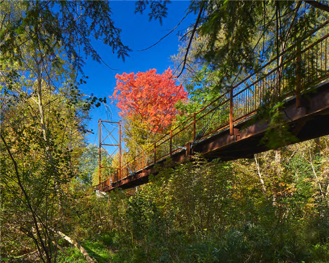 Milne Dam and Milne Creek Cable-Stayed Bridges