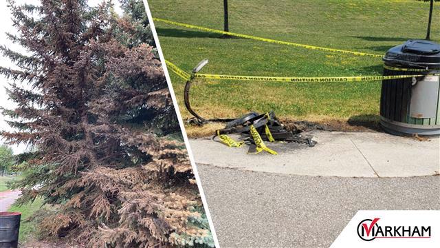 Scorched trees and burned waste bins discovered in Markham’s parks that were caused by the improper use and disposal of family fireworks.